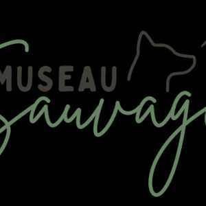 Museau Sauvage, un accompagnateur du comportement du chien à Stains