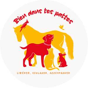 Yanne, un accompagnateur thérapeutique avec l'animal à Gap