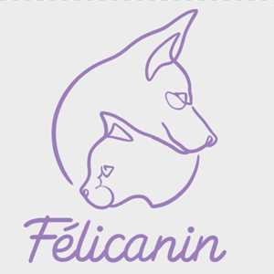 Félicanin, un référent en pet sitting/cat sitting à Châteaulin