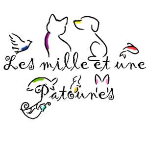 Les Mille et une Patounes, un référent en pet sitting/cat sitting à Nancy